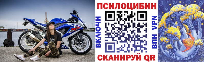 Галлюциногенные грибы Magic Shrooms  Елизаветинская 